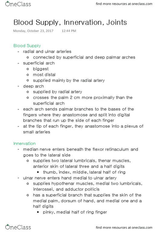 ANAT 315 Lecture Notes - Lecture 18: Subclavian Vein, Thenar Eminence, Cephalic Vein thumbnail