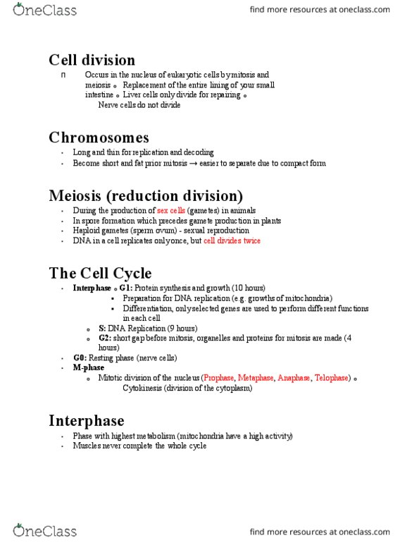 BLG 311 Lecture Notes - Lecture 3: Metaphase, Microtubule, Mitochondrion thumbnail