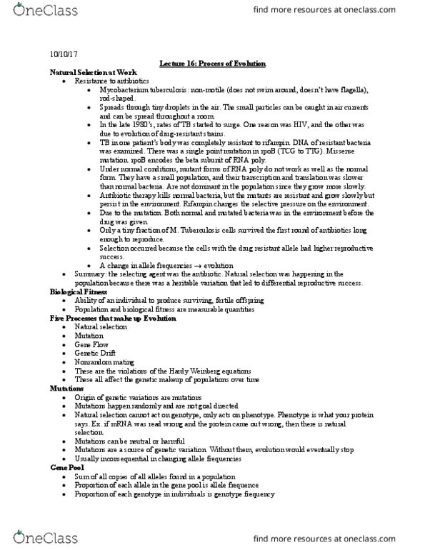 BIOSC 0160 Lecture Notes - Lecture 16: Point Mutation, Missense Mutation, Allele Frequency thumbnail