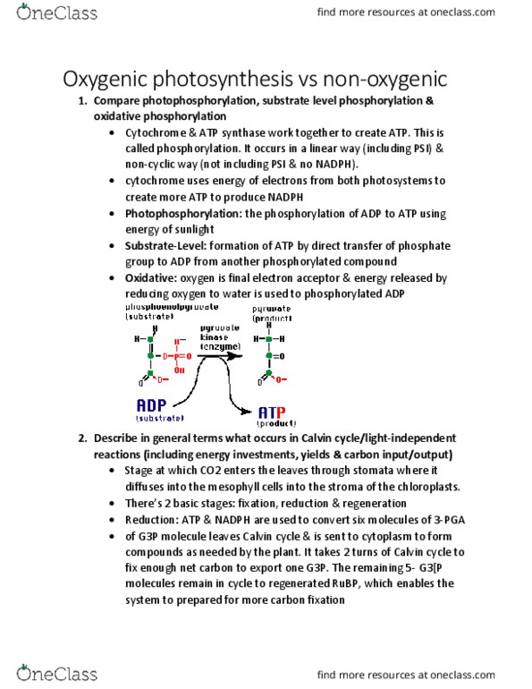 BIOL 2905 Lecture Notes - Lecture 11: Glyceraldehyde 3-Phosphate, Light-Independent Reactions, Oxidative Phosphorylation thumbnail