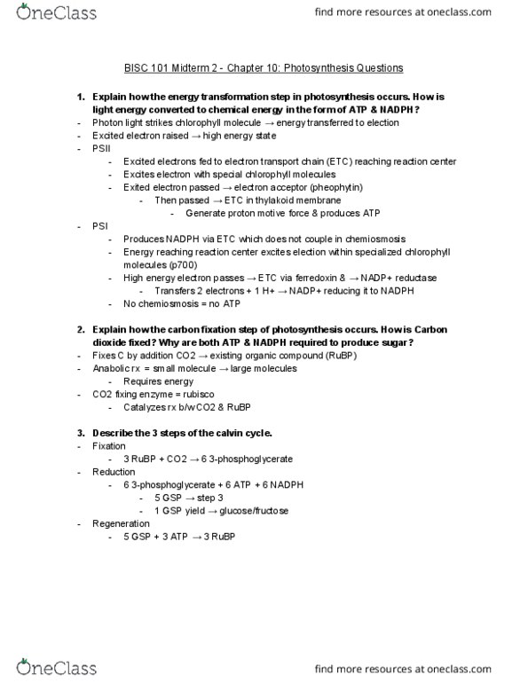 BISC 101 Chapter Notes - Chapter 10: Photosynthesis, Organic Compound, Pheophytin thumbnail