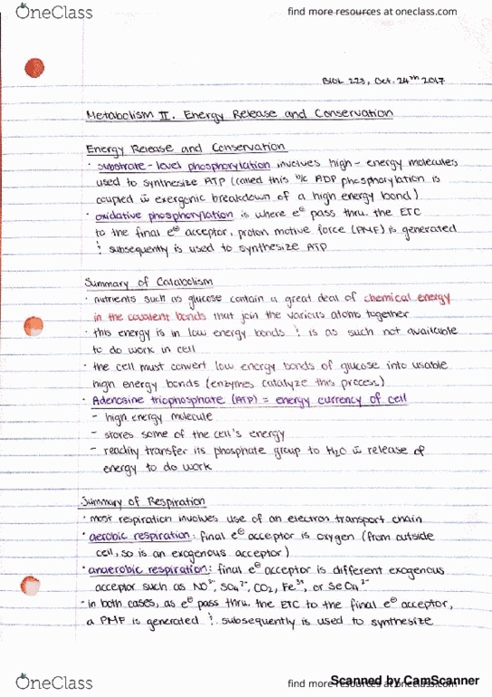 BIOL 228 Lecture 13: (10-24-17) Metabolism II: Energy and Conservation thumbnail