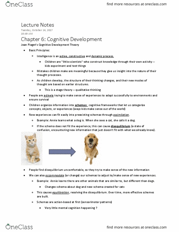 HDFS220 Lecture Notes - Lecture 10: Operant Conditioning, 18 Months, Motor Action F.C. thumbnail