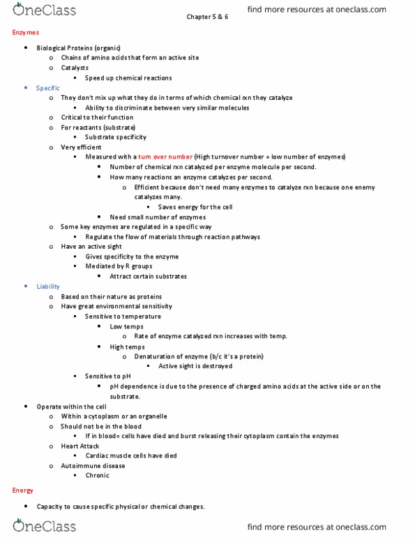 BIO 211 Lecture Notes - Lecture 4: Hydrolysis, Turnover Number, Cardiac Muscle thumbnail