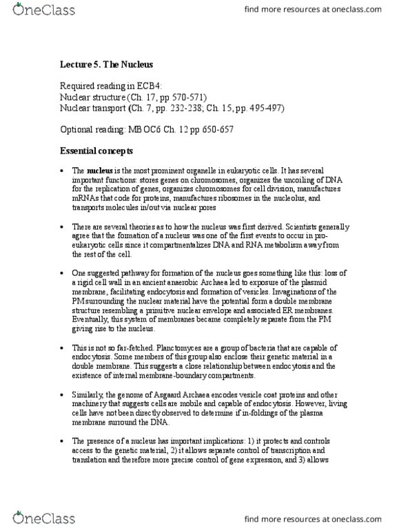 BIOL 3202 Lecture Notes - Lecture 7: Chromatin, Nucleoporin, Intermediate Filament thumbnail