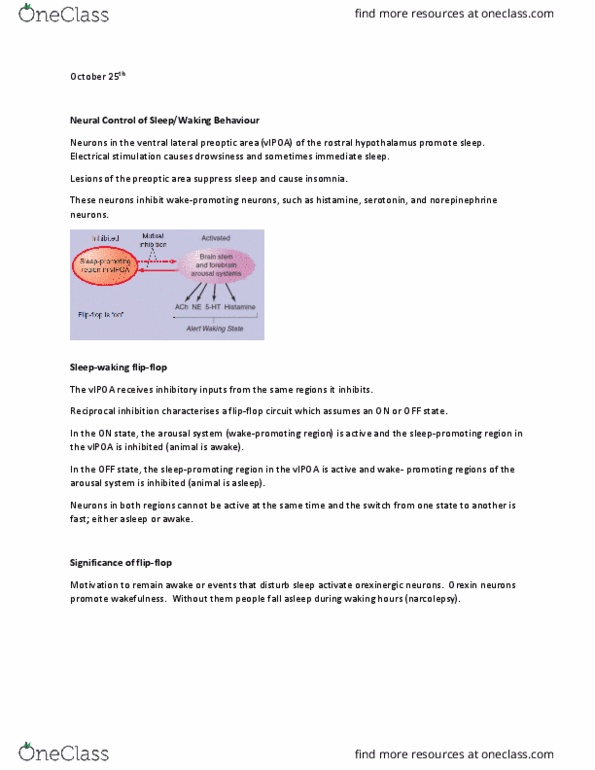 PSYC 211 Lecture Notes - Lecture 13: Preoptic Area, Fatal Familial Insomnia, Vasopressin thumbnail