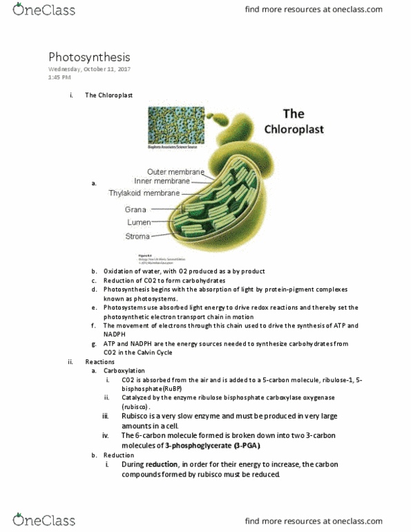 BIOL 1107 Lecture Notes - Lecture 9: Light-Dependent Reactions, Lipid Bilayer, Triose thumbnail