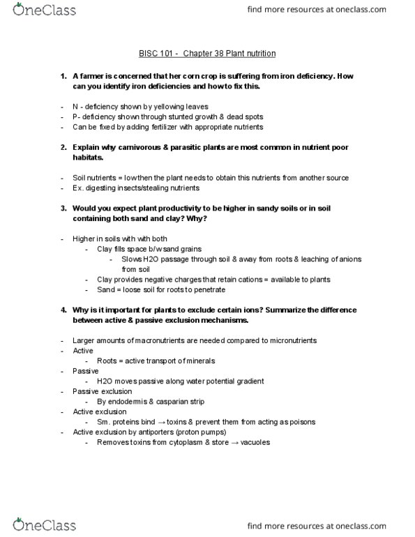 BISC 101 Chapter Notes - Chapter 38: Endodermis, Antiporter, Potential Gradient thumbnail