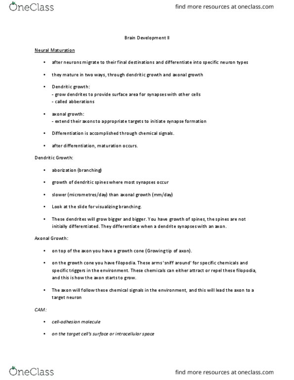 PSY 2301 Lecture Notes - Lecture 9: Myelin, Oligodendrocyte, Synaptic Pruning thumbnail