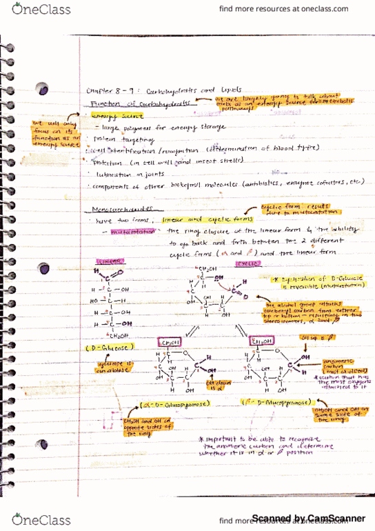 CHEM 153A Chapter 8-9: Carbohydrates and Lipids thumbnail