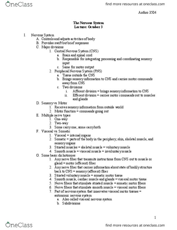 ANTHROP 3504 Lecture Notes - Lecture 5: Oculomotor Nerve, Masseter Muscle, Mastication thumbnail