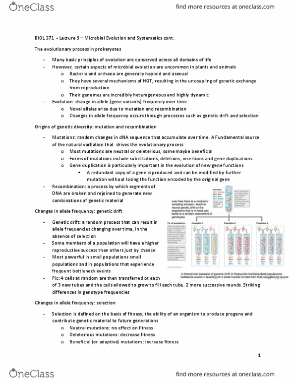 BIOL 371 Lecture Notes - Lecture 9: Mobile Genetic Elements, Archaea, Myxobacteria thumbnail