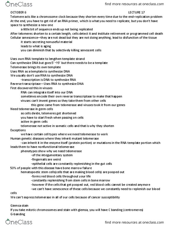 BIOL3190 Lecture Notes - Lecture 17: Nucleosome, Physical Property, Cytosine thumbnail