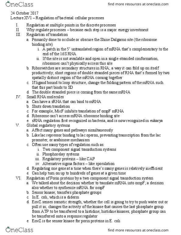 BISC300 Lecture Notes - Lecture 16: Histidine, Sigma Factor, Ribosome thumbnail