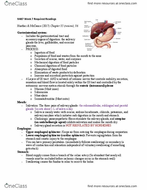 NURS 487 Lecture Notes - Lecture 7: Short Bowel Syndrome, Thoracic Cavity, Osteoporosis thumbnail