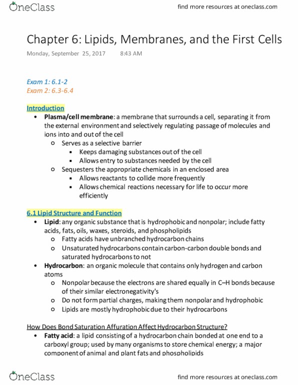 BIOL 141 Chapter Notes - Chapter 6: Polyunsaturated Fat, Protein Structure, Amphiphile thumbnail