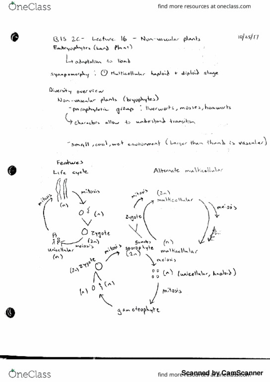 BIS 2C Lecture 16: Non-vascular Plants thumbnail