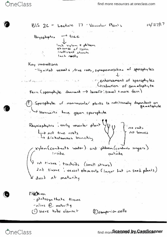 BIS 2C Lecture 17: Early Vascular Plants thumbnail