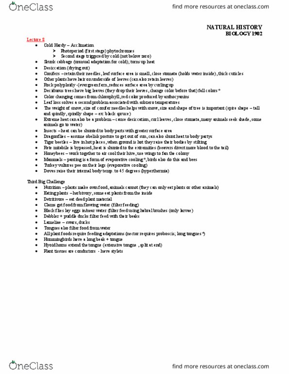 BIOL 1902 Lecture Notes - Lecture 8: Photoperiodism, Stoma, Polyploid thumbnail