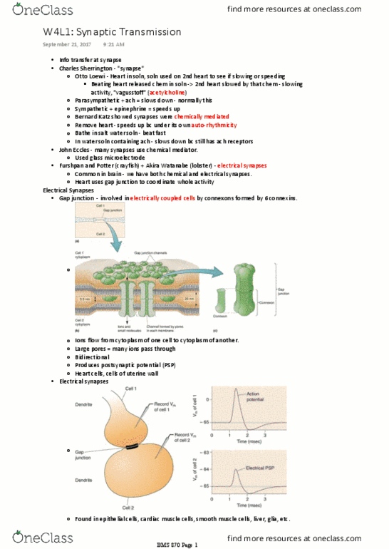 document preview image