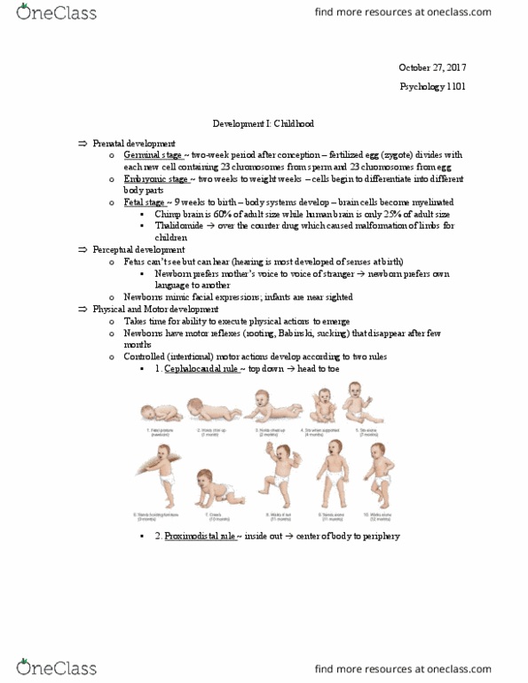 PSYC 1101 Lecture Notes - Lecture 18: Thalidomide, Prenatal Development, Motor Action F.C. thumbnail