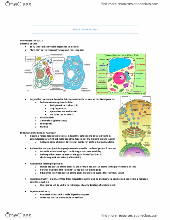 BIOB10H3 Lecture Notes - Lecture 3: Endoplasmic Reticulum, Secretion, Endomembrane System thumbnail