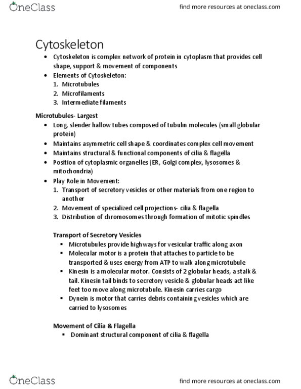 KINE 2011 Chapter Notes - Chapter 1.8: Globular Protein, Cytoskeleton, Complex Cell thumbnail
