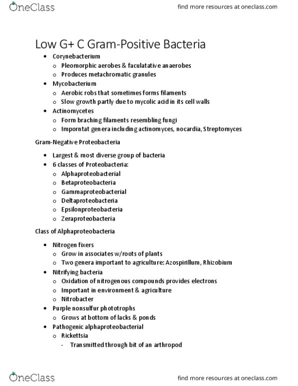 BIOL 2905 Chapter Notes - Chapter 11.2: Nitrifying Bacteria, Betaproteobacteria, Acetobacter thumbnail