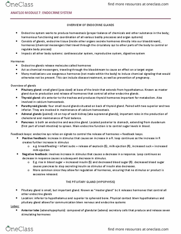 ANAT 100 Lecture Notes - Lecture 7: Pituitary Gland, Parathyroid Gland, Exocrine Gland thumbnail