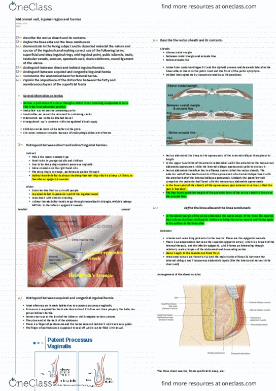 KINESIOL 1Y03 Lecture Notes - Lecture 13: Inguinal Hernia, Superior Epigastric Artery, Rectus Sheath thumbnail