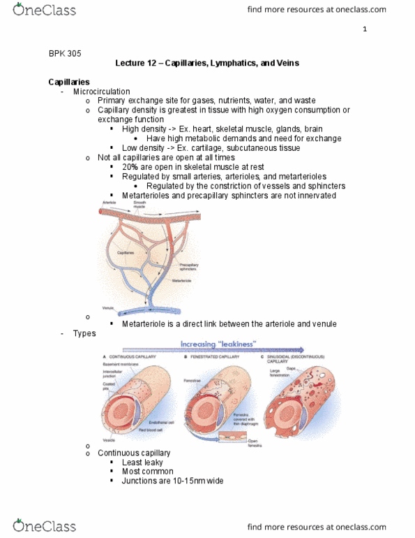 BPK 305 Lecture Notes - Lecture 12: Metarteriole, Oncotic Pressure, Tight Junction thumbnail