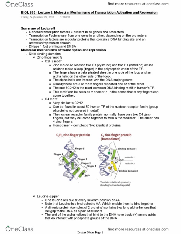 BIOL 200 Lecture Notes - Lecture 9: Leucine Zipper, Dna-Binding Domain, Zinc Finger thumbnail