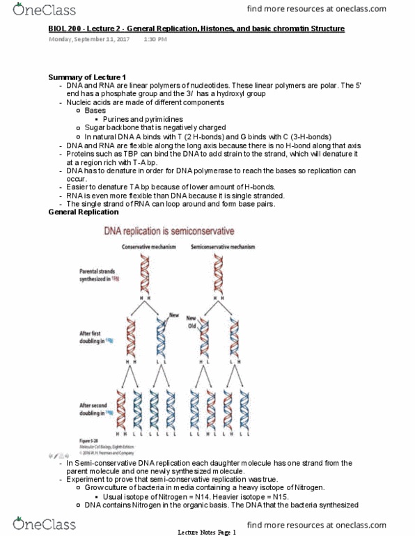 BIOL 200 Lecture Notes - Lecture 2: Semiconservative Replication, Dna Replication, Tata-Binding Protein thumbnail