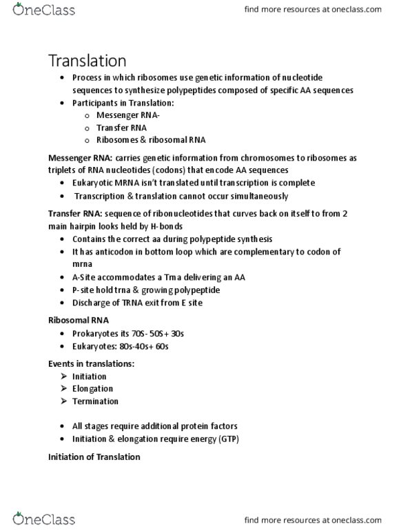 BIOL 2905 Chapter Notes - Chapter 7.7: Ribosomal Rna, Start Codon, Transfer Rna thumbnail