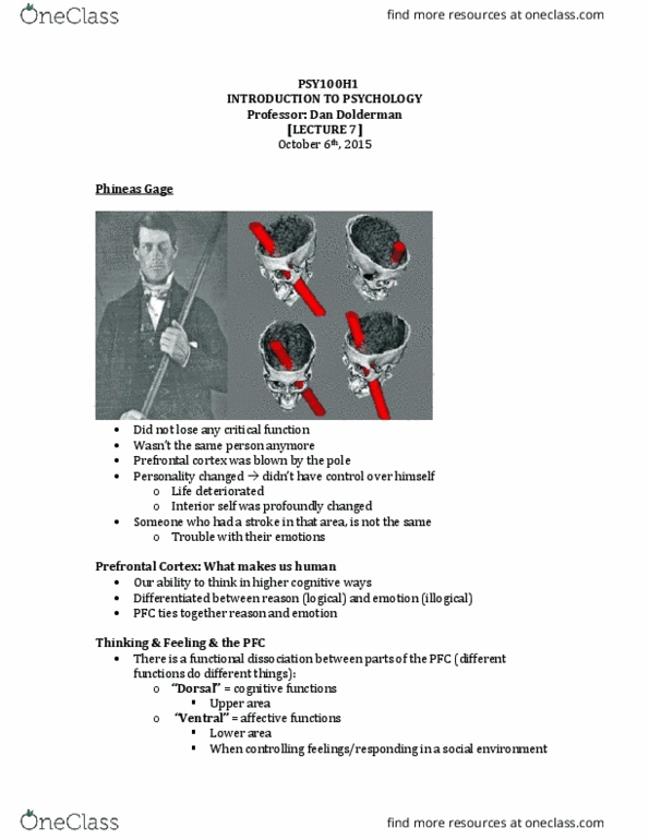PSY100H1 Lecture Notes - Lecture 2: Phineas Gage thumbnail