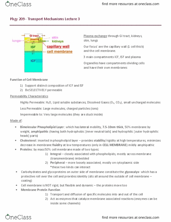 PHGY 209 Lecture Notes - Lecture 3: Lipid Bilayer, Plasmapheresis, Particle Size thumbnail