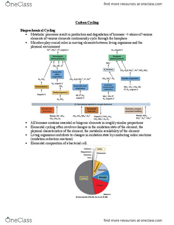 BIOL241 Lecture Notes - Lecture 3: Chemosynthesis, Humus, Biogenic Substance thumbnail