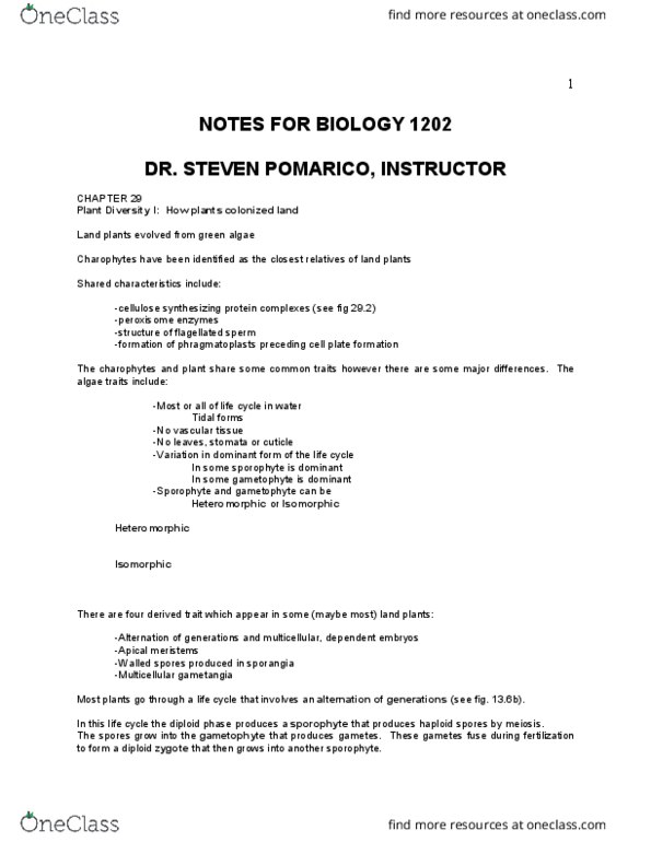 BIOL 1202 Lecture Notes - Lecture 7: Charophyta, Spermatogenesis, Sporophyte thumbnail