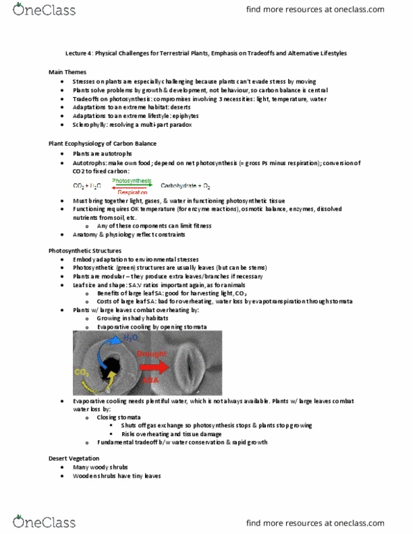 BIO120H1 Lecture Notes - Lecture 4: Evaporative Cooler, Ecophysiology, Osmoregulation thumbnail