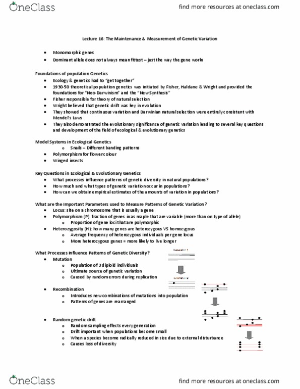 BIO120H1 Lecture Notes - Lecture 16: Genetic Drift, Lethal Allele, Heterozygote Advantage thumbnail
