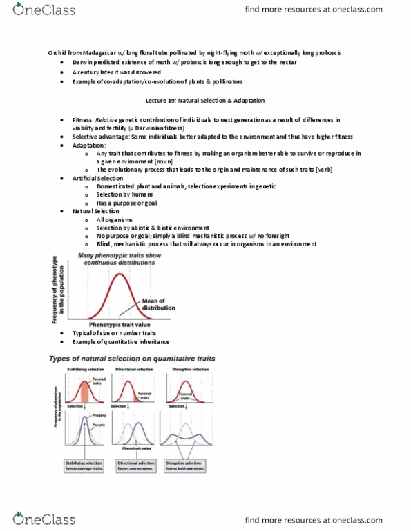 BIO120H1 Lecture Notes - Lecture 19: Disruptive Selection, Stabilizing Selection, Directional Selection thumbnail