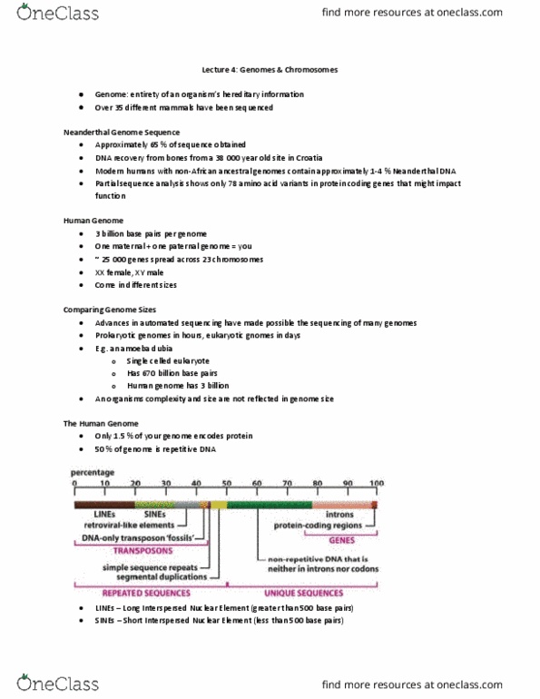 BIO130H1 Lecture Notes - Lecture 4: Chris Paul, Endoplasmic Reticulum, Nomen Dubium thumbnail