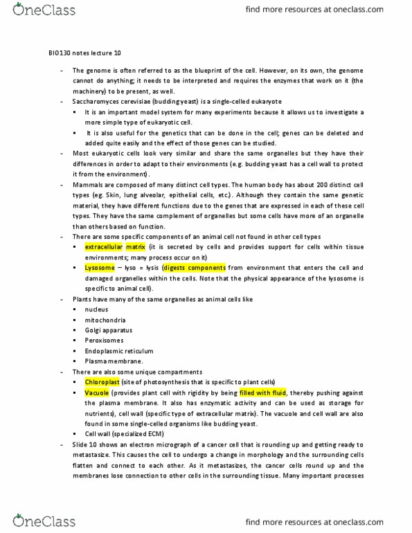 BIO130H1 Lecture Notes - Lecture 10: Lipid Bilayer, Fluid Mosaic Model, Saccharomyces Cerevisiae thumbnail