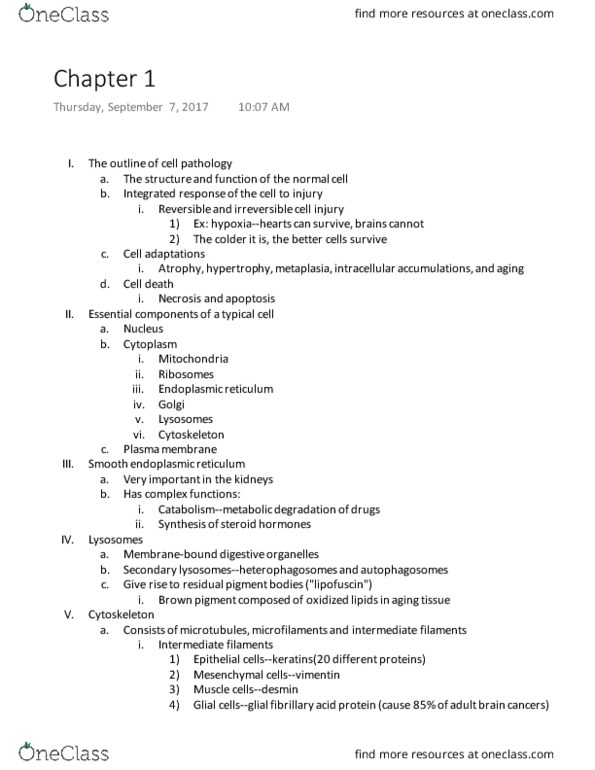 BISC 464 Lecture Notes - Lecture 1: Endoplasmic Reticulum, Intermediate Filament, Lipofuscin thumbnail