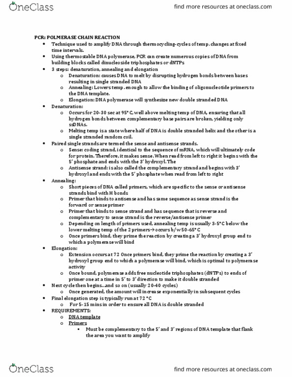 BIOL309 Lecture Notes - Lecture 15: Random Coil, Cytosine, Guanine thumbnail