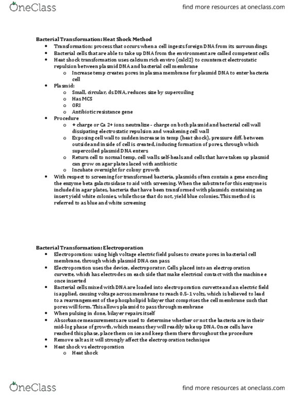 BIOL309 Lecture Notes - Lecture 5: Electroporation, Beta-Galactosidase, Lipid Bilayer thumbnail