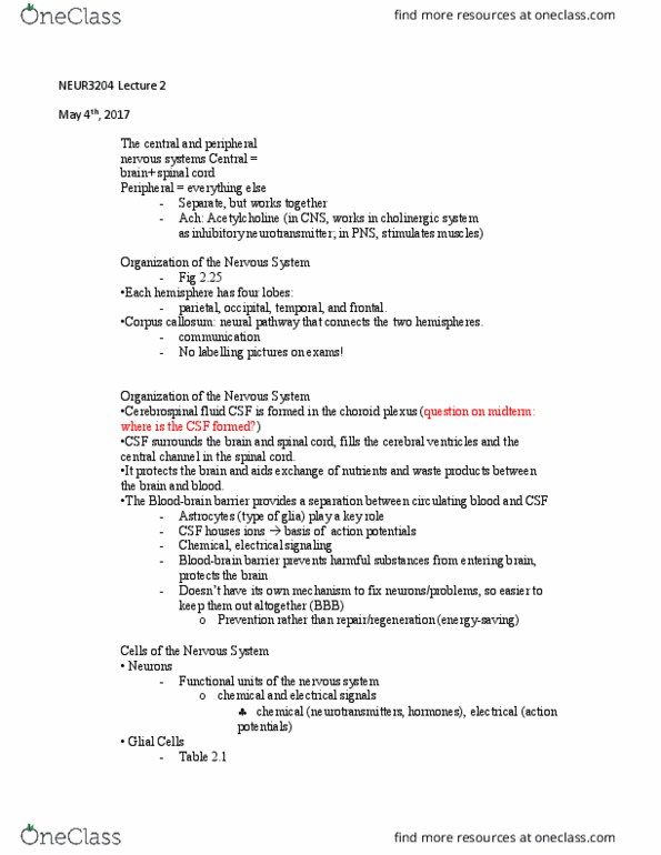 NEUR 3200 Lecture Notes - Lecture 9: Cytochrome P450, Choroid Plexus, Neuroglia thumbnail