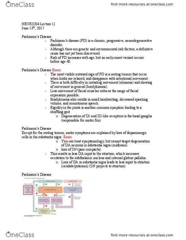 NEUR 3200 Lecture Notes - Lecture 2: Substantia Nigra, Pars Compacta, Subthalamic Nucleus thumbnail