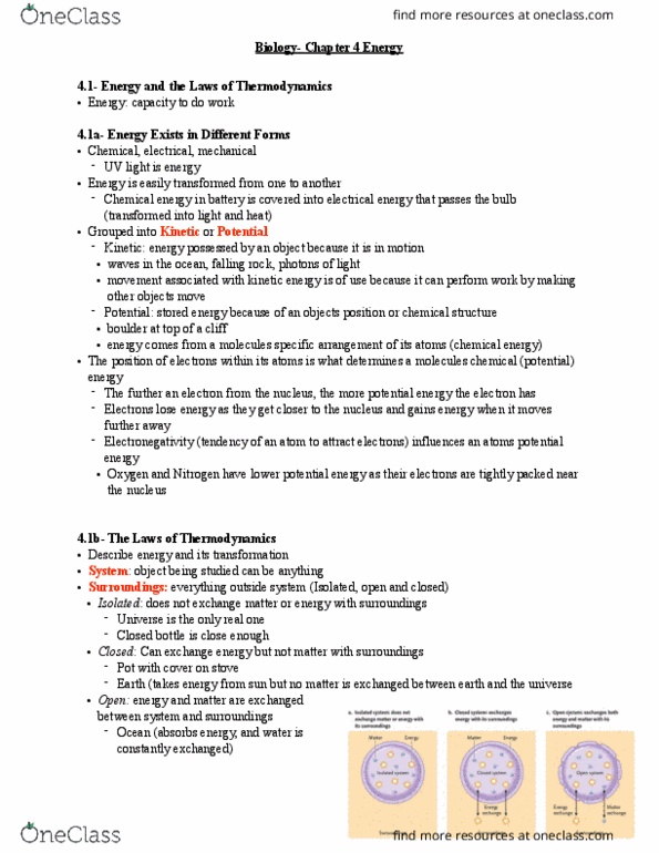 Biology 1202B Lecture Notes - Lecture 4: Chemical Energy, Enthalpy, Thermodynamics thumbnail