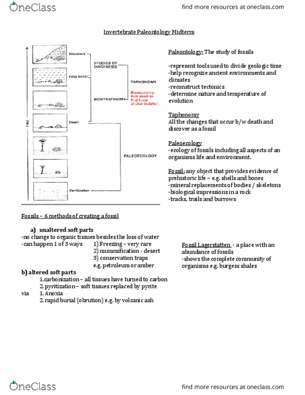 GEOL 102 Lecture Notes - Lecture 8: Trace Fossil Classification, Pyrite, Permineralization thumbnail